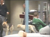 Oz0504.gif